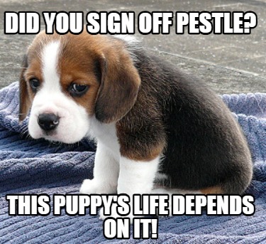 did-you-sign-off-pestle-this-puppys-life-depends-on-it