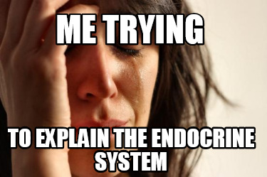 me-trying-to-explain-the-endocrine-system