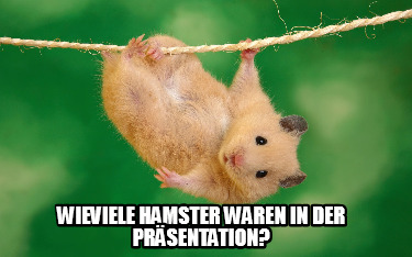 wieviele-hamster-waren-in-der-prsentation