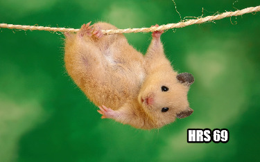 hrs-69