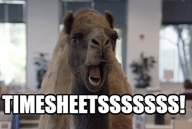 timesheetsssssss