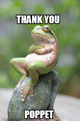 thank-you-poppet