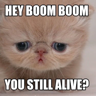 hey-boom-boom-you-still-alive