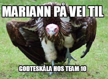 mariann-p-vei-til-godteskla-hos-team-10