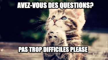 avez-vous-des-questions-pas-trop-difficiles-please