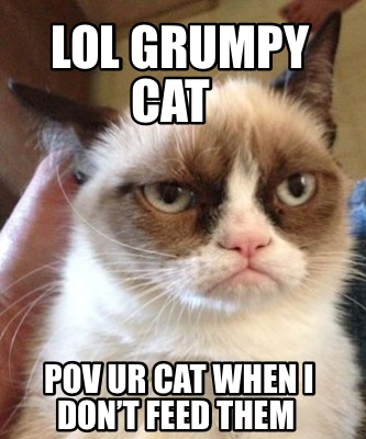 lol-grumpy-cat-pov-ur-cat-when-i-dont-feed-them