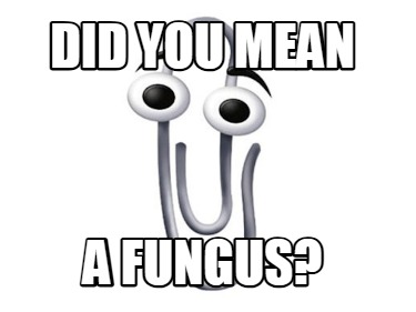 did-you-mean-a-fungus