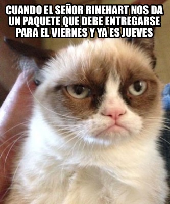cuando-el-seor-rinehart-nos-da-un-paquete-que-debe-entregarse-para-el-viernes-y-