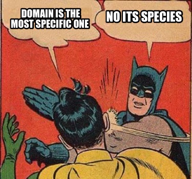 domain-is-the-most-specific-one-no-its-species