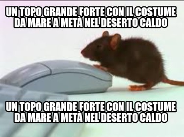 un-topo-grande-forte-con-il-costume-da-mare-a-met-nel-deserto-caldo-un-topo-gran