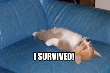 i-survived0