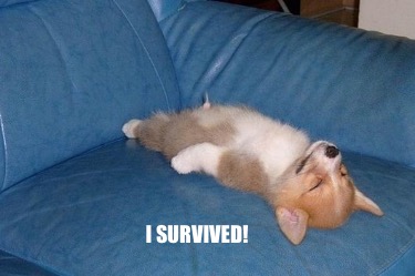 i-survived7