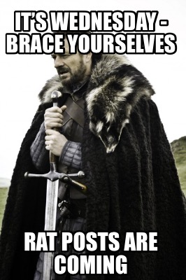 its-wednesday-brace-yourselves-rat-posts-are-coming