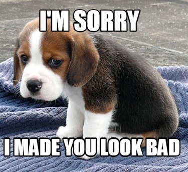 im-sorry-i-made-you-look-bad