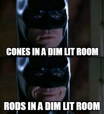 cones-in-a-dim-lit-room-rods-in-a-dim-lit-room3