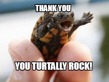 thank-you-you-turtally-rock
