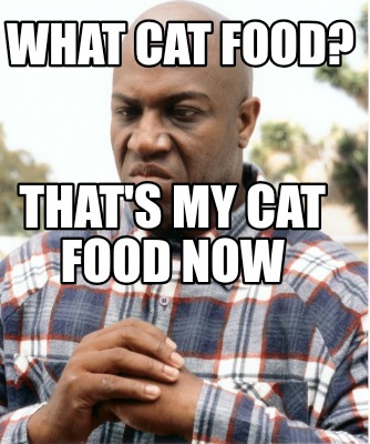 what-cat-food-thats-my-cat-food-now