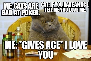 me-cats-are-bad-at-poker.-cat-if-you-have-an-ace-tell-me-you-love-me.-me-gives-a