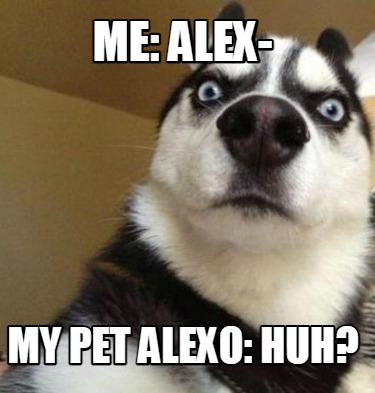 me-alex-my-pet-alexo-huh