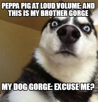 peppa-pig-at-loud-volume-and-this-is-my-brother-gorge-my-dog-gorge-excuse-me