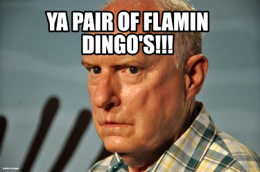 ya-pair-of-flamin-dingos