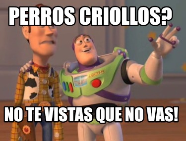 perros-criollos-no-te-vistas-que-no-vas