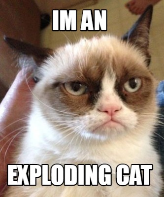 im-an-exploding-cat