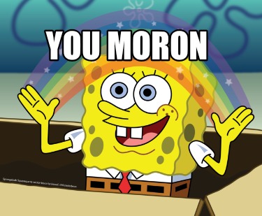you-moron4