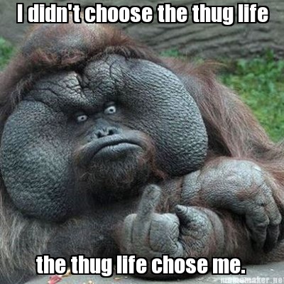 Meme Maker - I didn't choose the thug life the thug life chose me. Meme Generator! Meme Maker - I didn't choose the thug life the thug life chose me. Meme Generator!