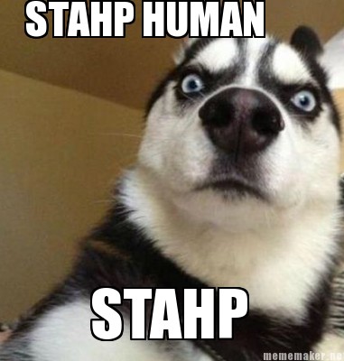Meme Maker - STAHP HUMAN STAHP Meme Generator!